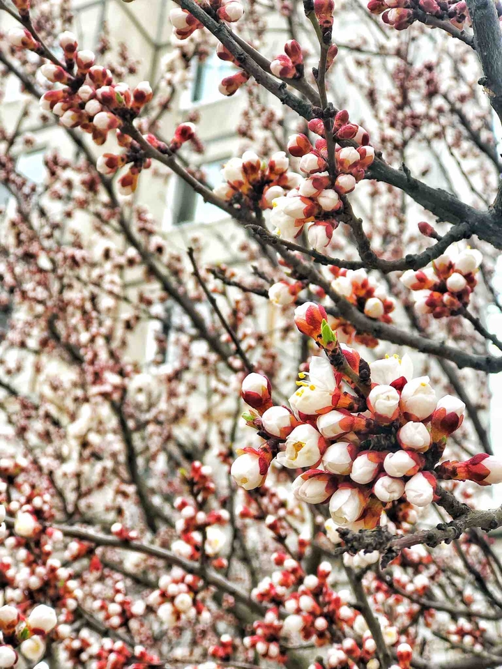 favorite season ?