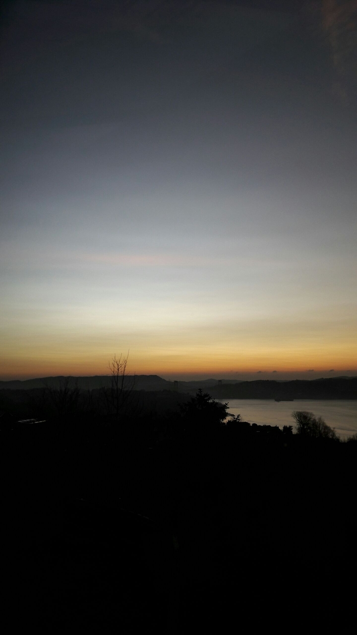 sky is falling