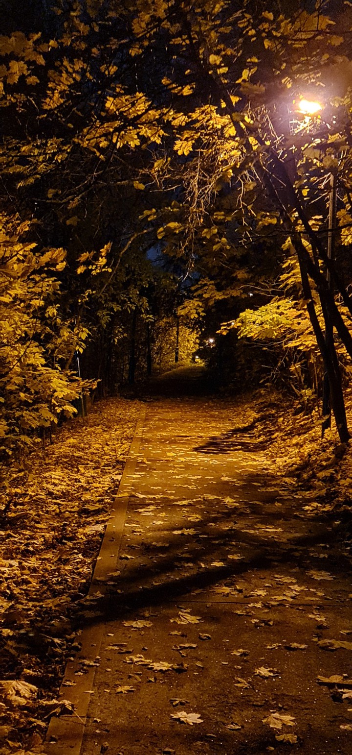 Dark autumn