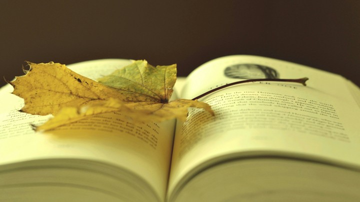 4k i like reading books