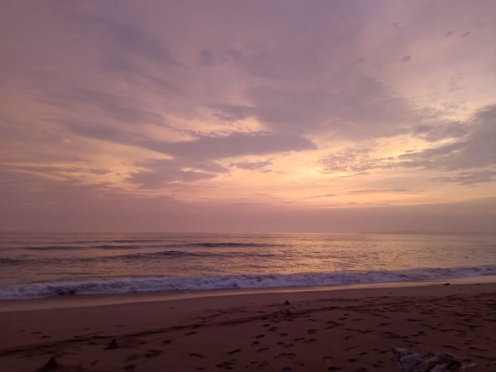 seashore