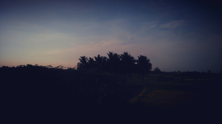 early morning