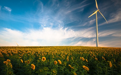 tapety wind, Yellow