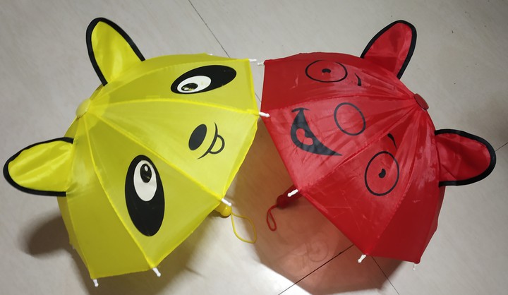 umbrella