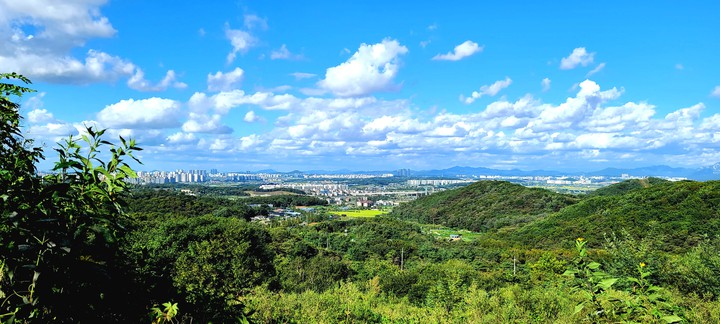 풍경