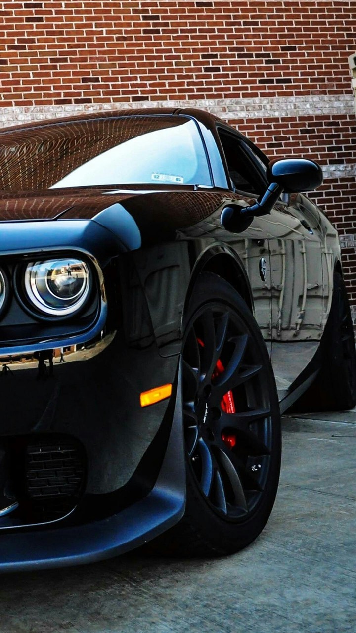 car dodge