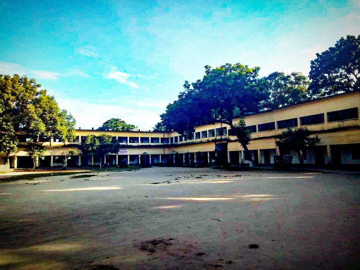 School