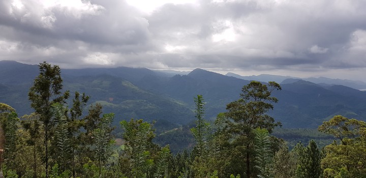 Sri Lanka nature
