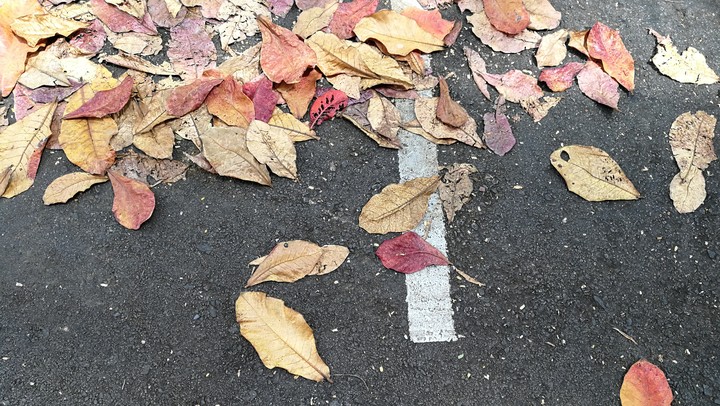 Autumn???