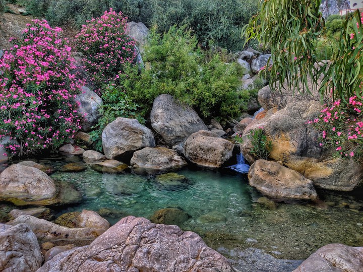 The river