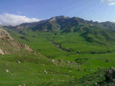 valley, vegetation壁纸