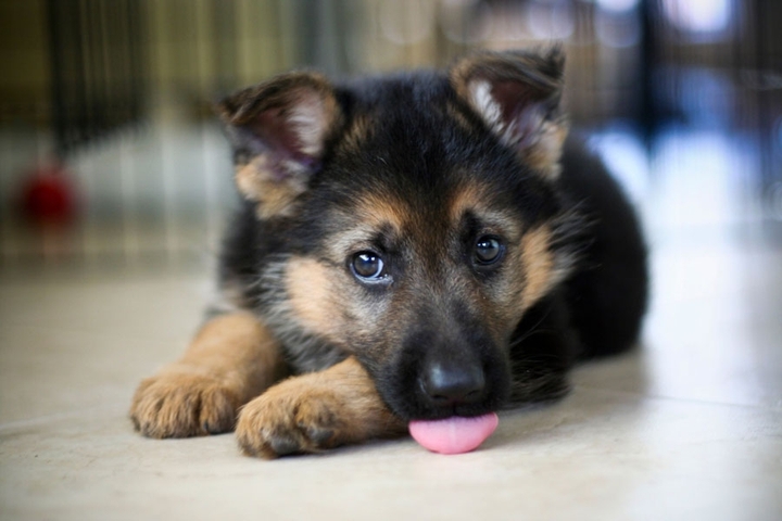 cute