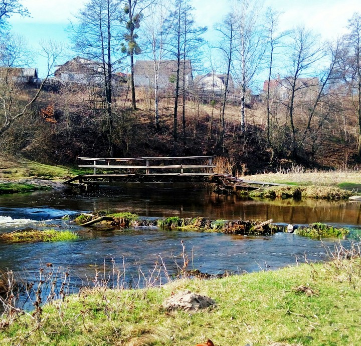 #spring #river #nature #green