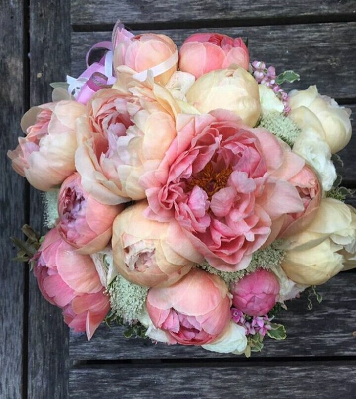 beautiful flowers