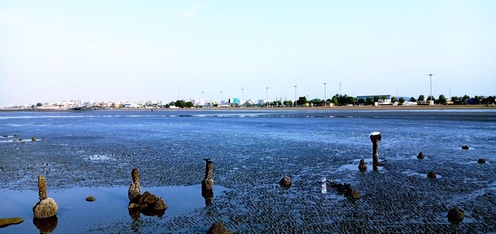 sea