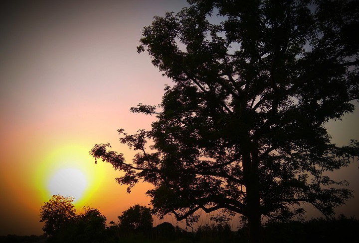 sunset