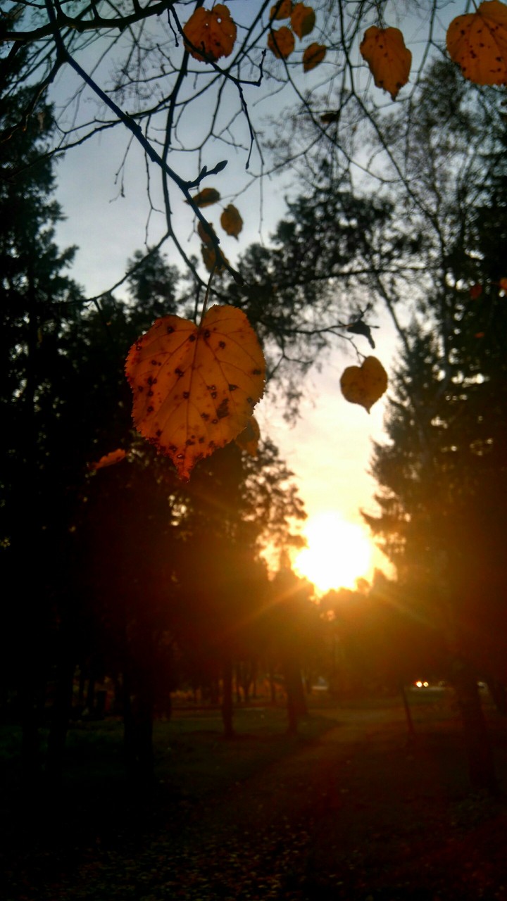 The last sunlight