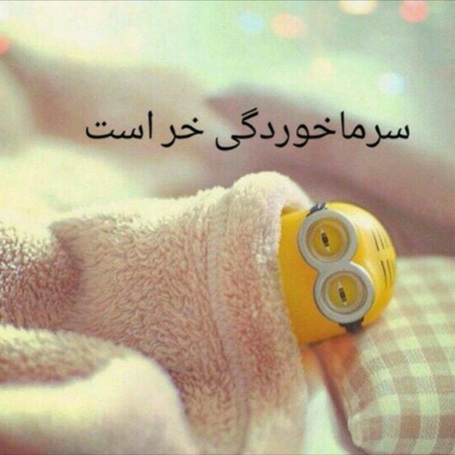 سرما