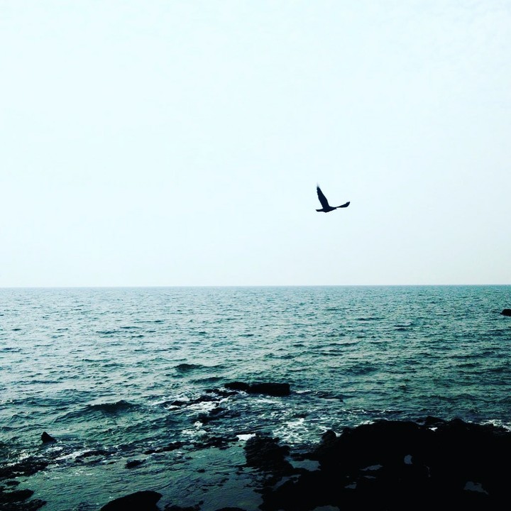 Eagle