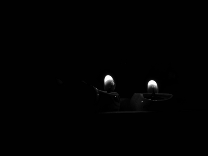 The burning lamps