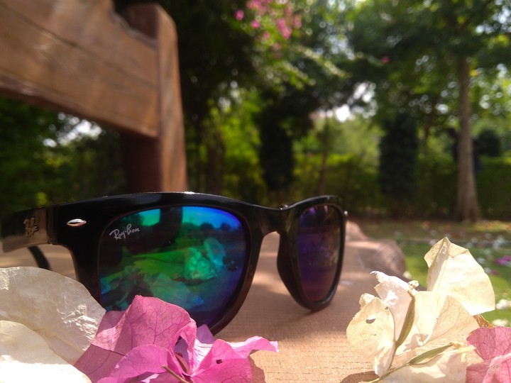 nature