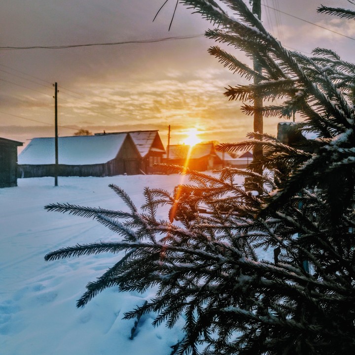 perm village