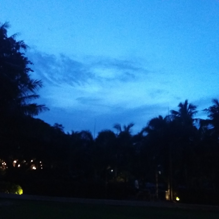 the blue night
