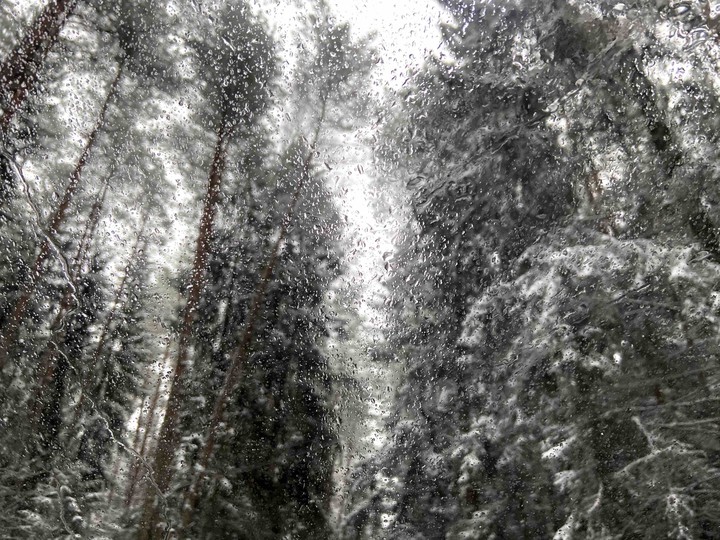 Mirror to winter