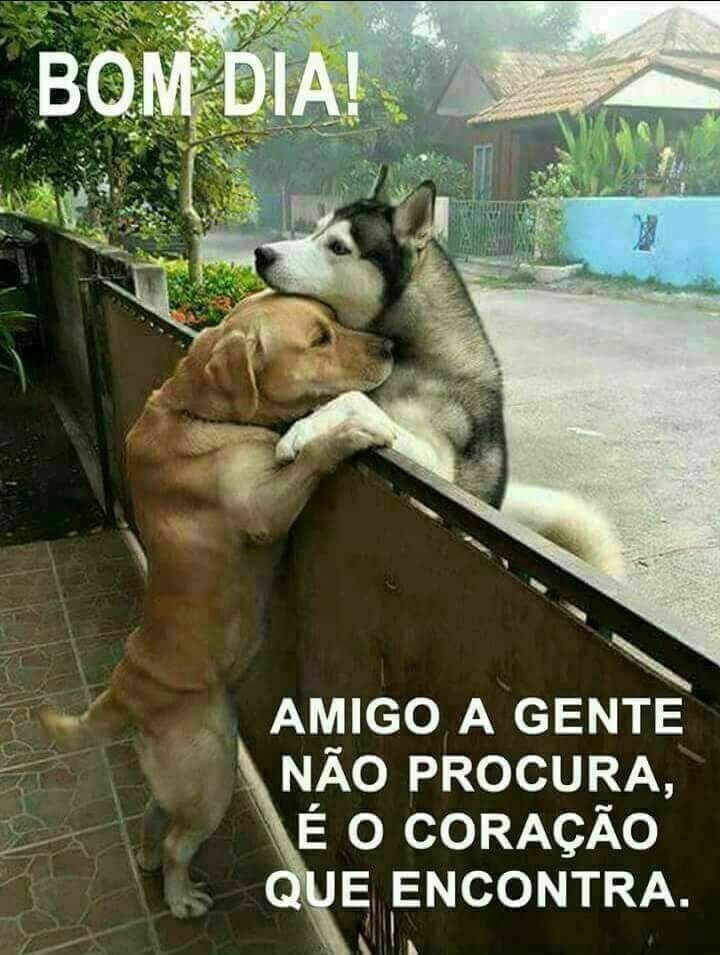 Aos meus queridos amigos do coração bjs.