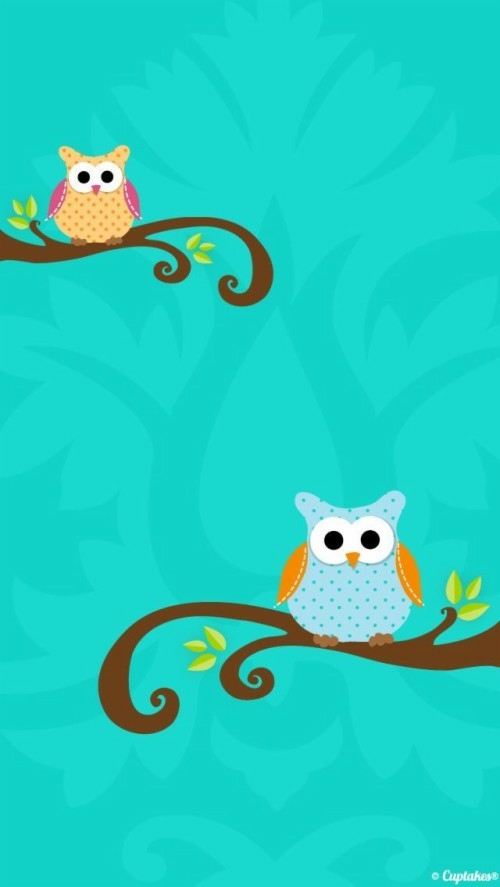 Cute Owls