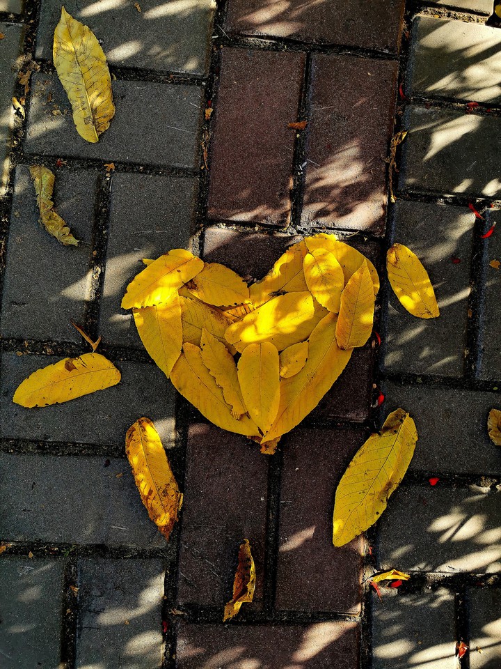 yellow heart