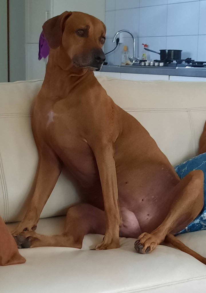 ...