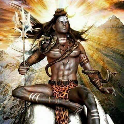 shiv