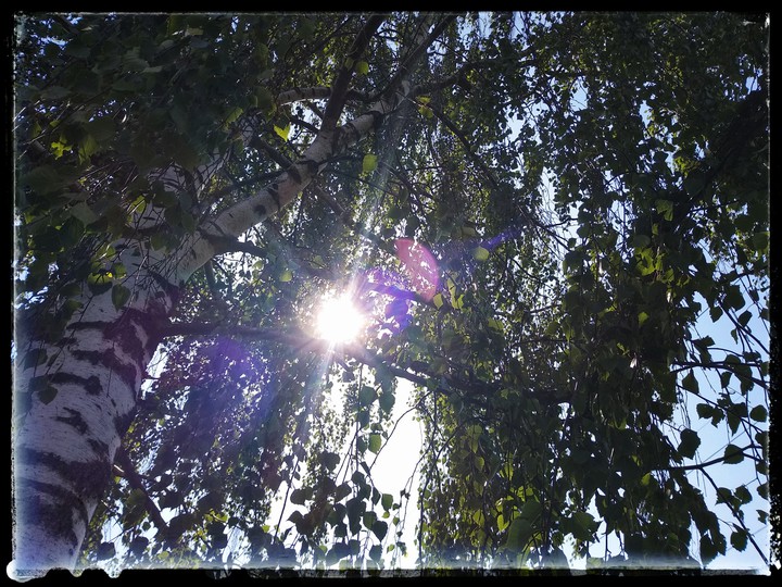 природа