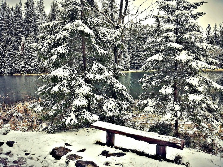 Snowy bench