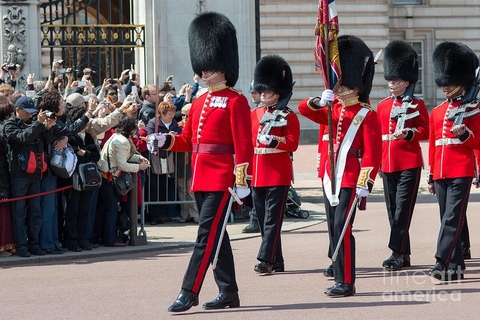 Buckingham palace