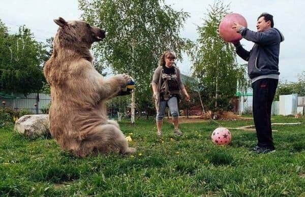РОССИЯ ??