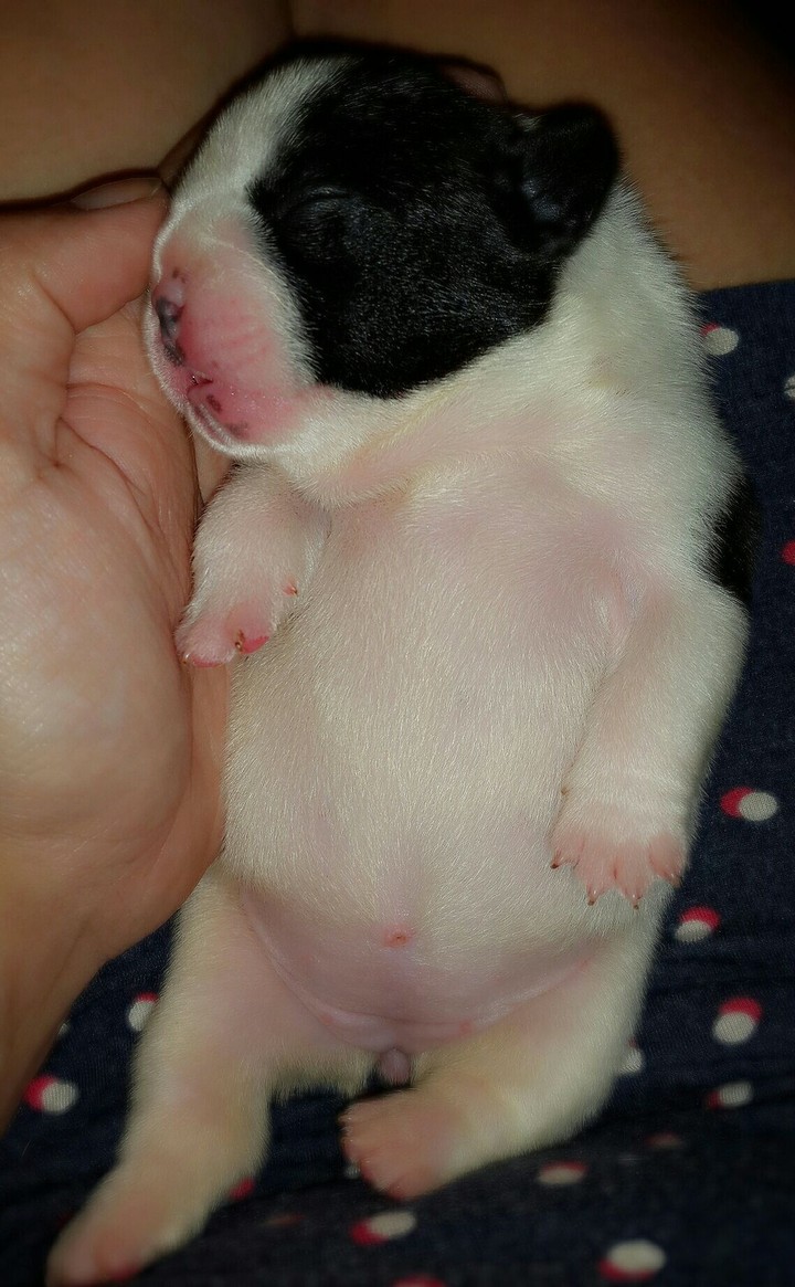 Time to sleep 