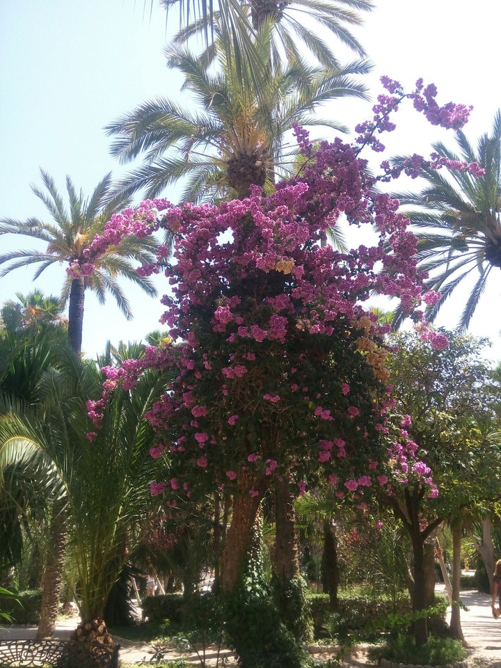 greetings from spain :)