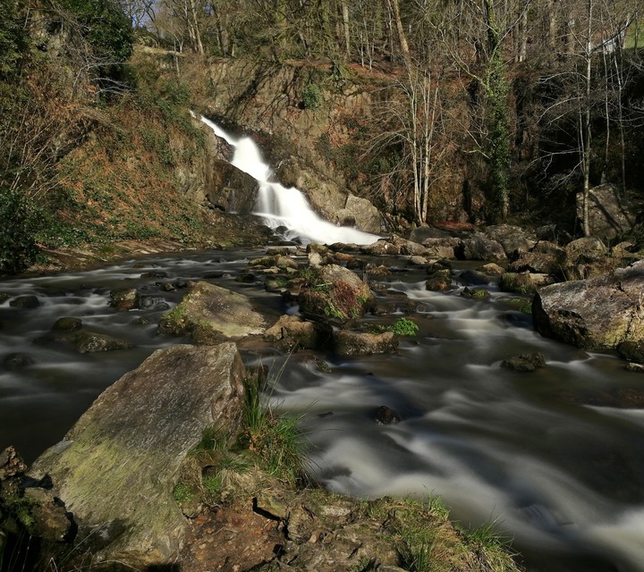 nature