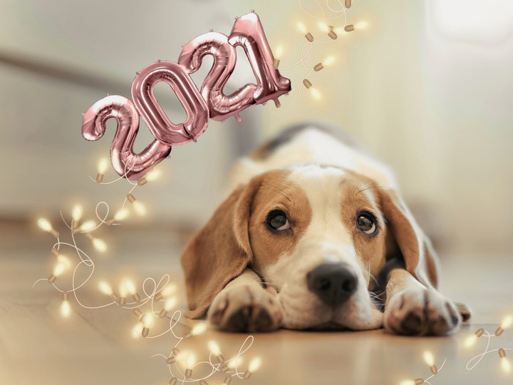 2021