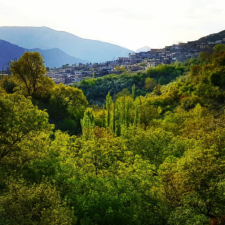 ta' village, Kurdistan