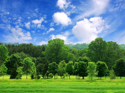 Nature