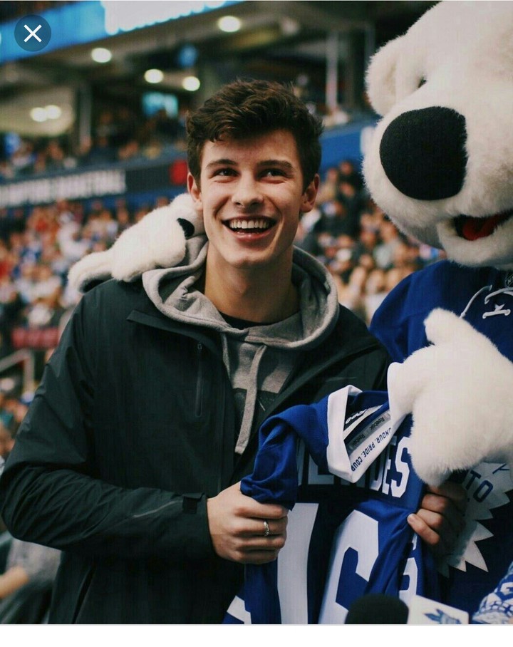 Shawn Mendes Army...