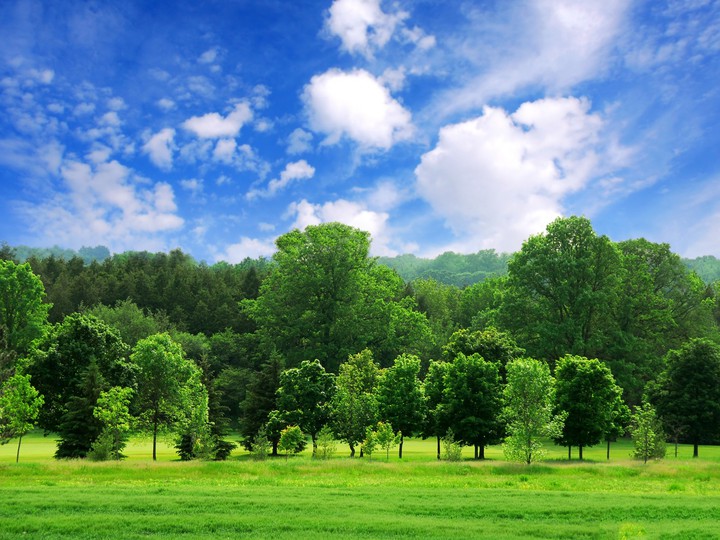 Nature