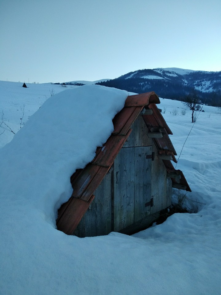 hidden under the snow