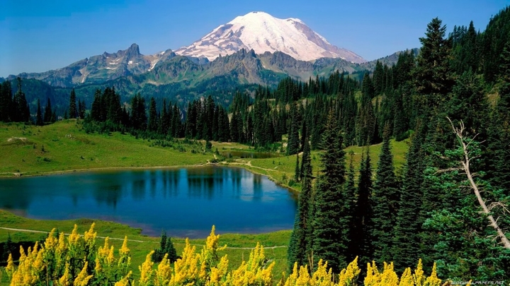 nature