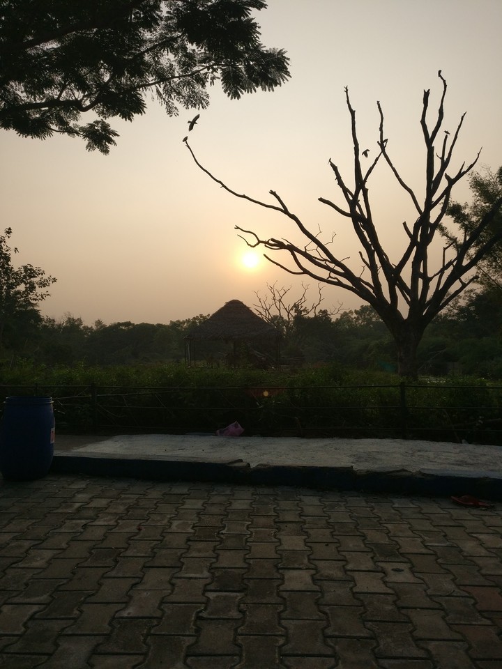 vozoosunset