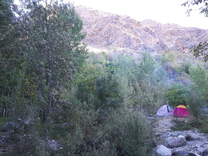 sweet home