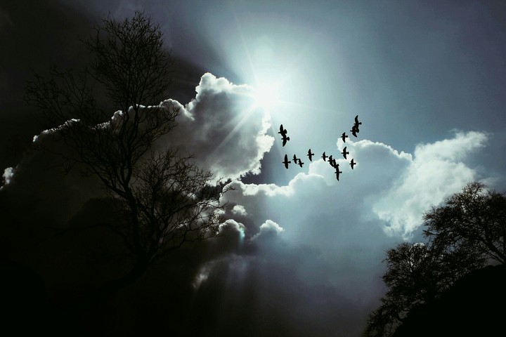 Look at the sky if you get bored